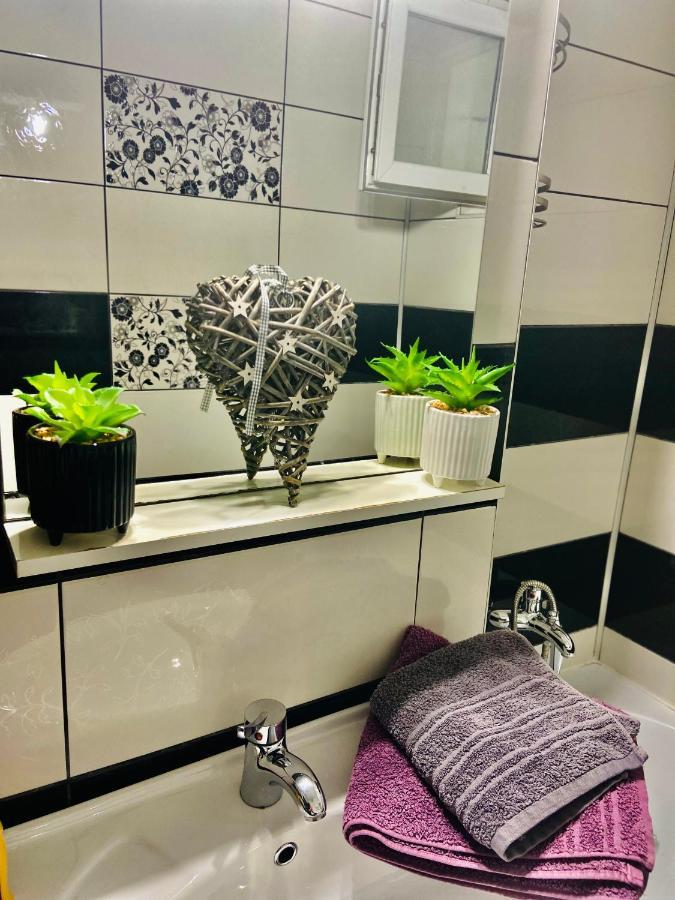 Cozy Central Place Brăila Dış mekan fotoğraf