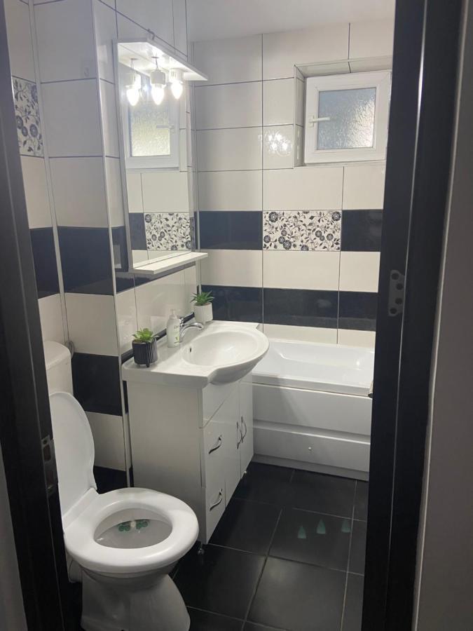 Cozy Central Place Brăila Dış mekan fotoğraf