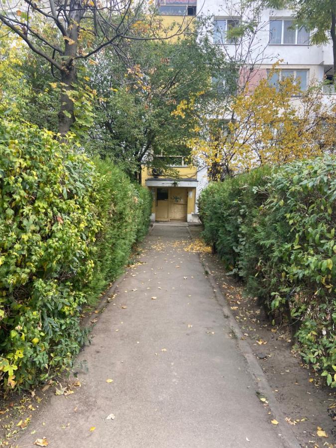 Cozy Central Place Brăila Dış mekan fotoğraf
