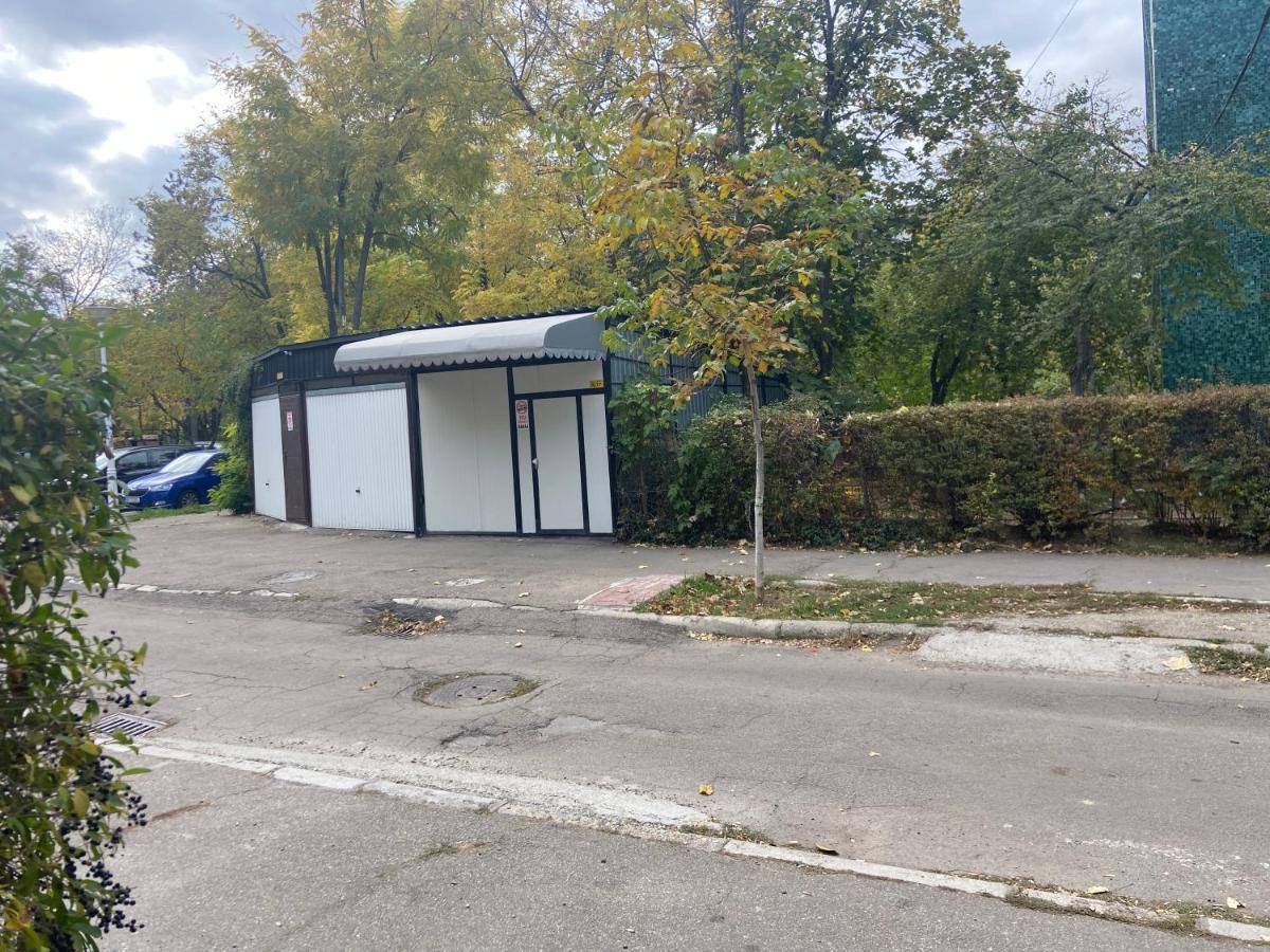 Cozy Central Place Brăila Dış mekan fotoğraf